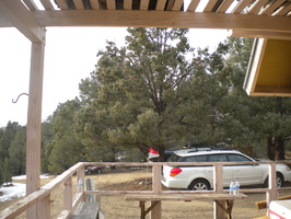 DSCN9523.JPG